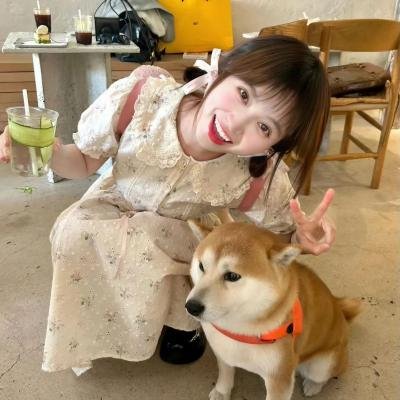流麻沟十五号