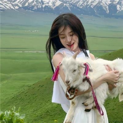 双子谜情